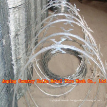 Tattoo Barbed Wire / Razor Barbed Wire /Galvanized Razor Wire / PVC coated razor wire / barbed wire ---- 30 years factory